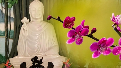 Xuân về ngẫm chuyện thiền môn